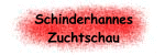 Zur Onlinemeldung