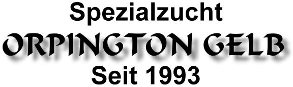 Spezialzucht Orpington Gelb seit 1993